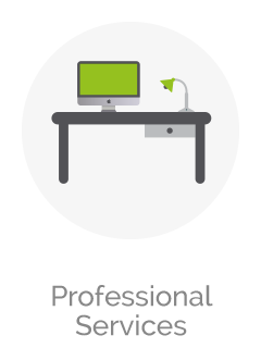 Professional Services